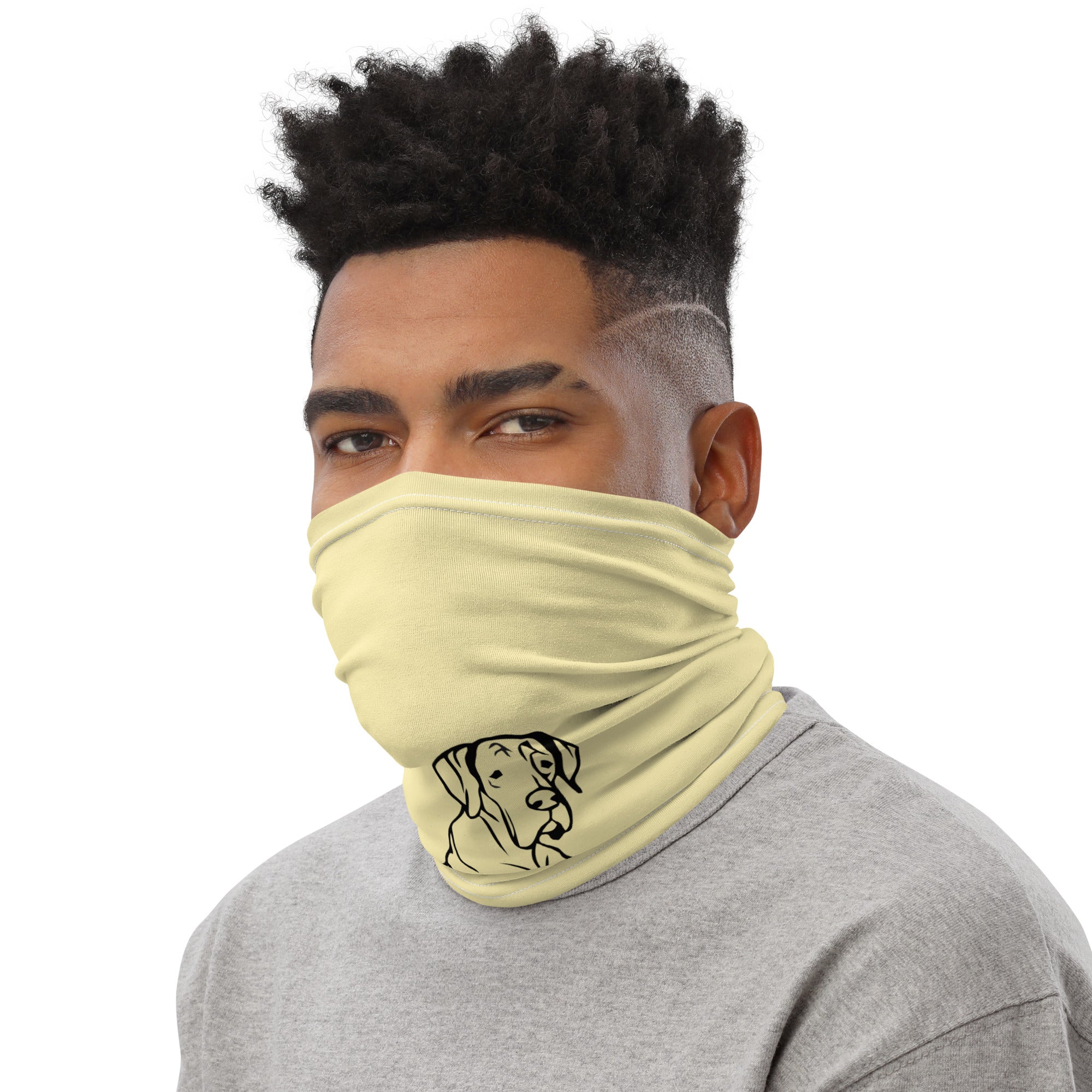 ALL YOU NEED LOVE GREAT DANE - Neck Gaiter