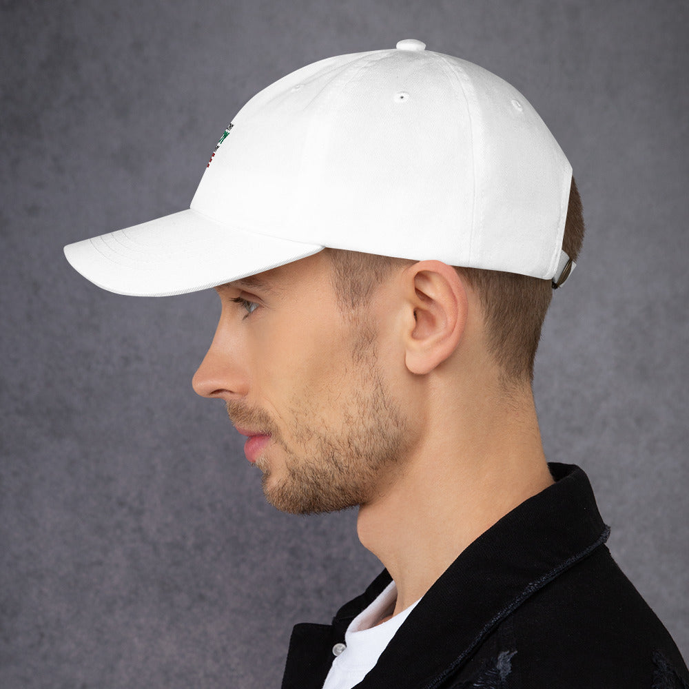 HEALTHY BODY HEALTHY LIFE - Dad hat