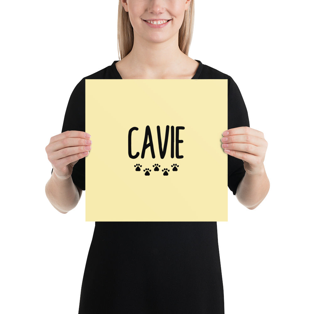 CAVIE - Poster