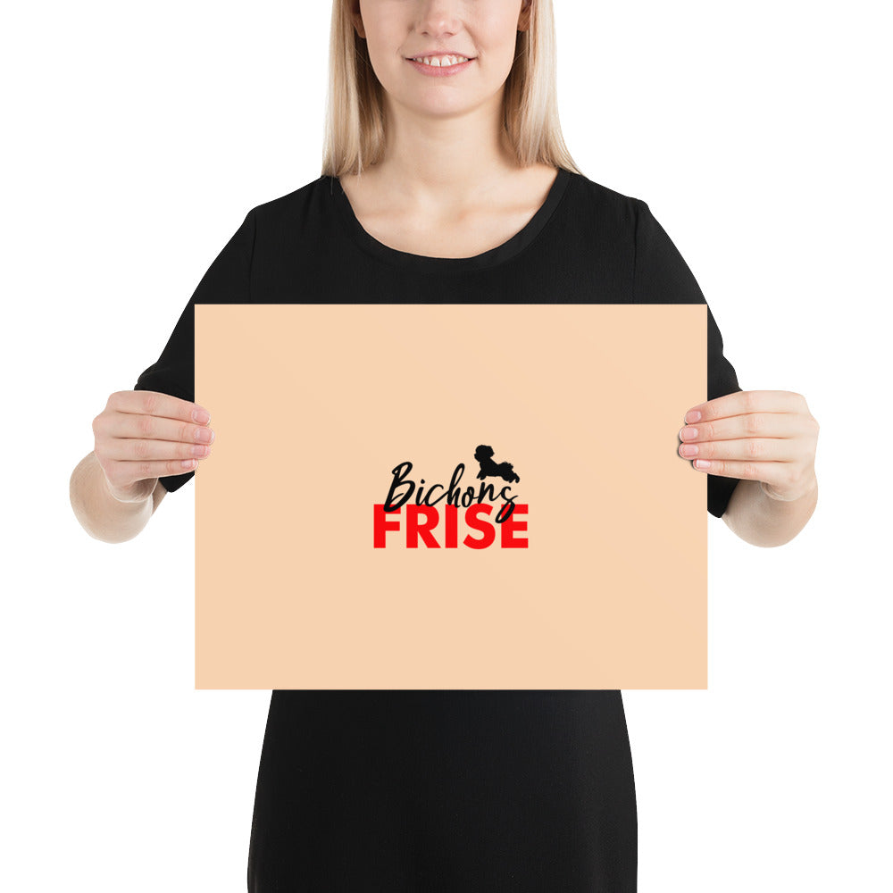 BICHONS FRISE - Poster