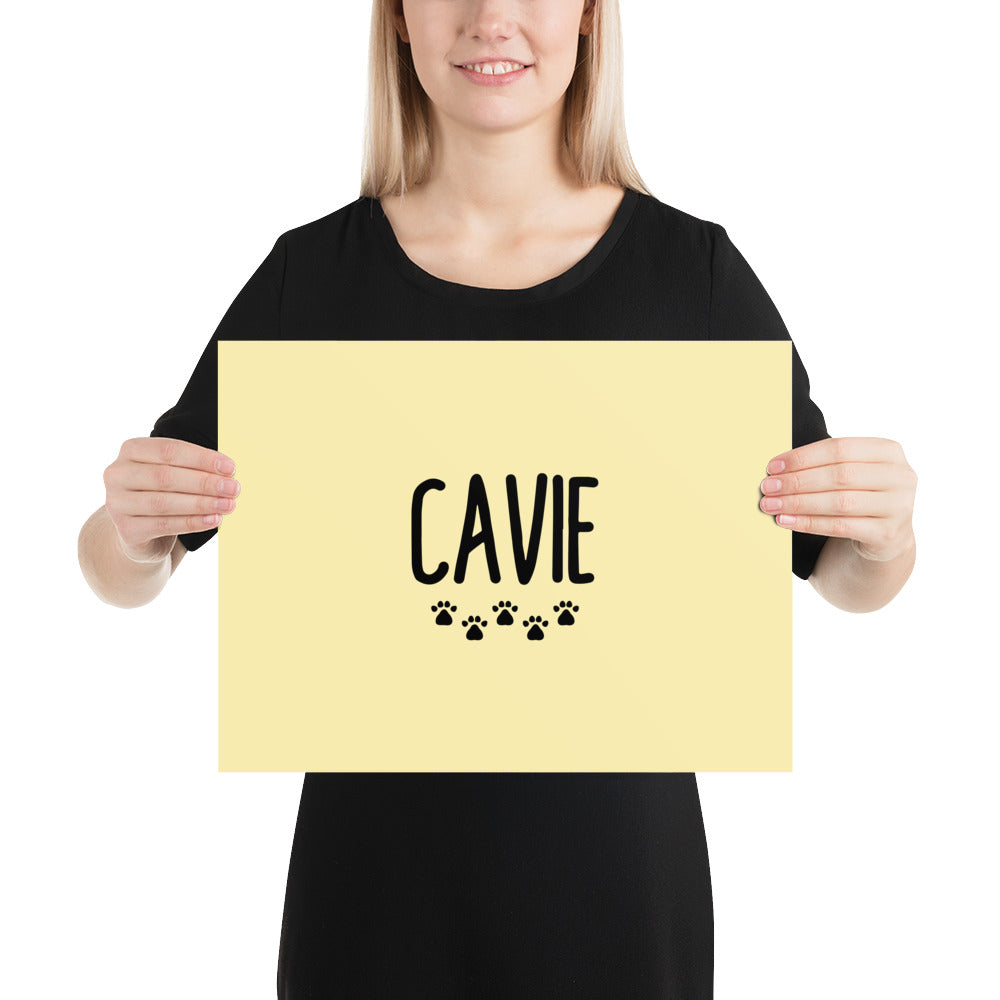 CAVIE - Poster