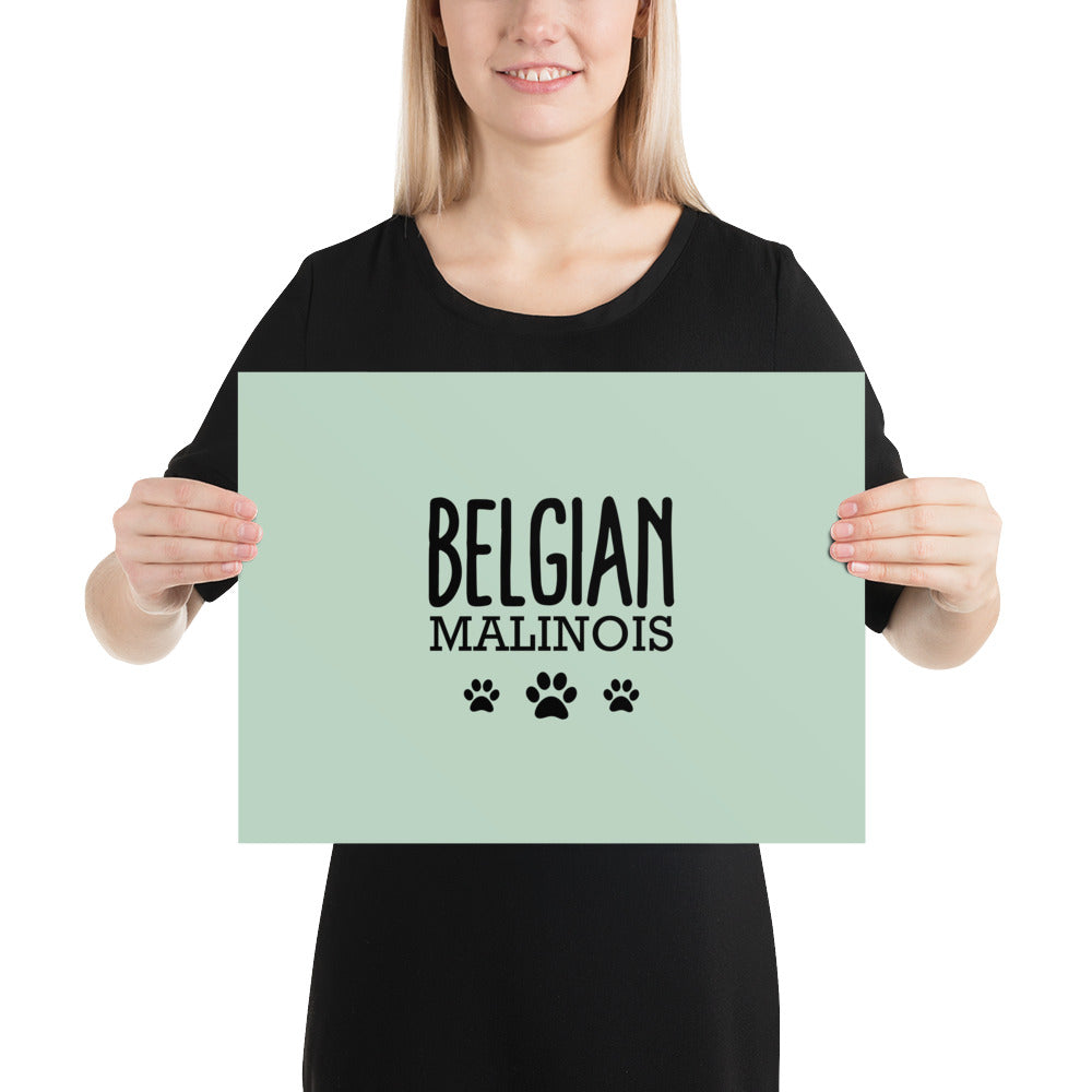 BELGIAN MALINOIS - Poster