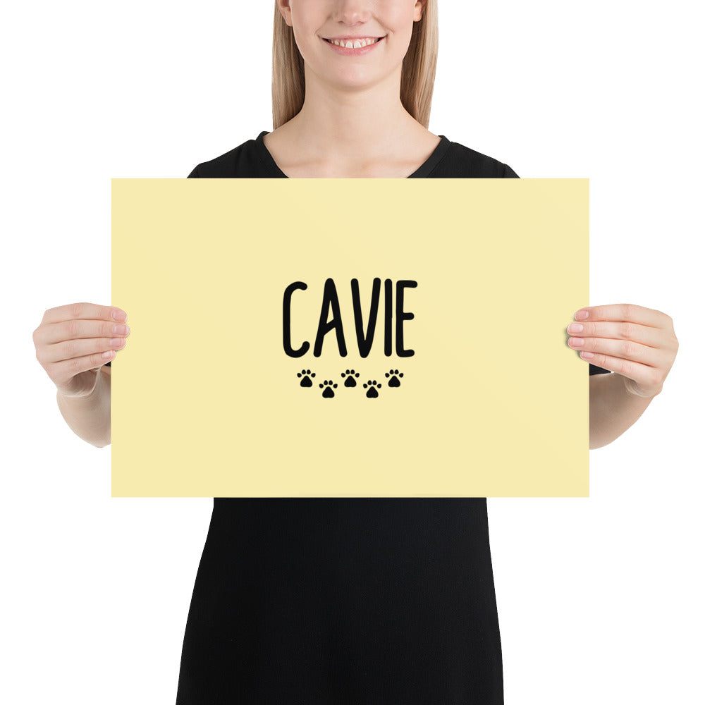 CAVIE - Poster
