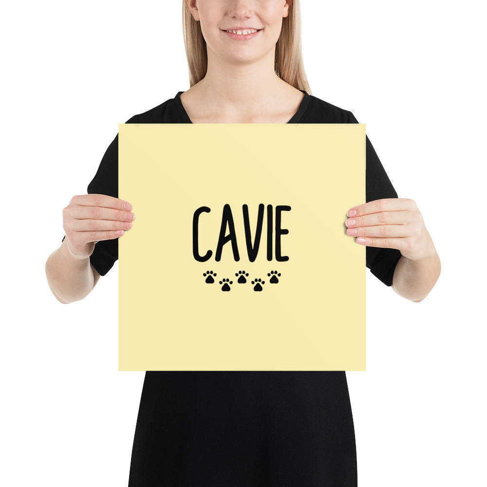 CAVIE - Poster