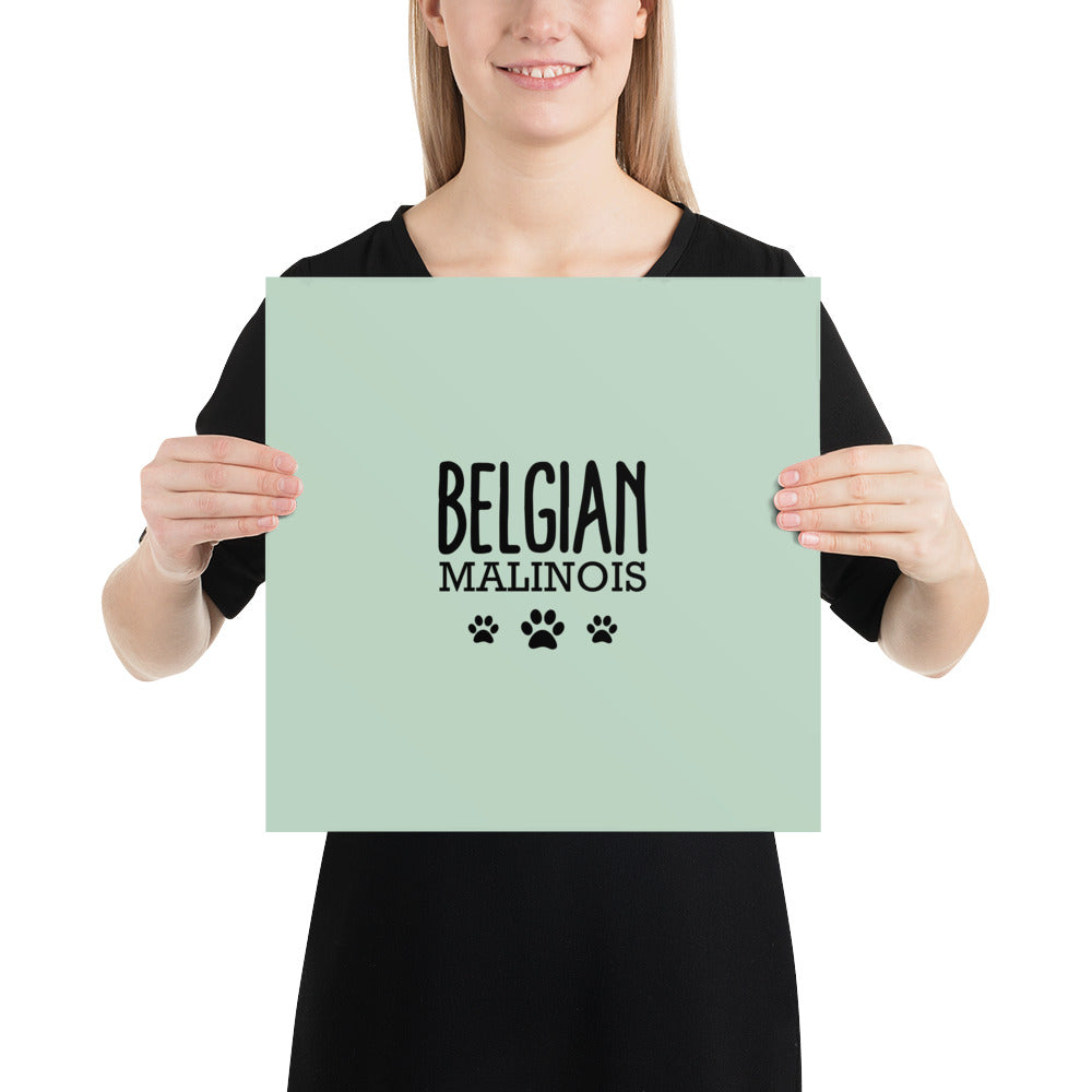 BELGIAN MALINOIS - Poster