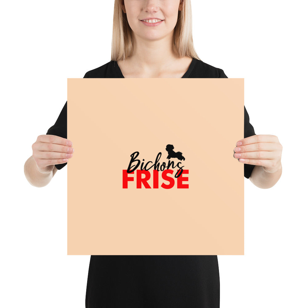 BICHONS FRISE - Poster