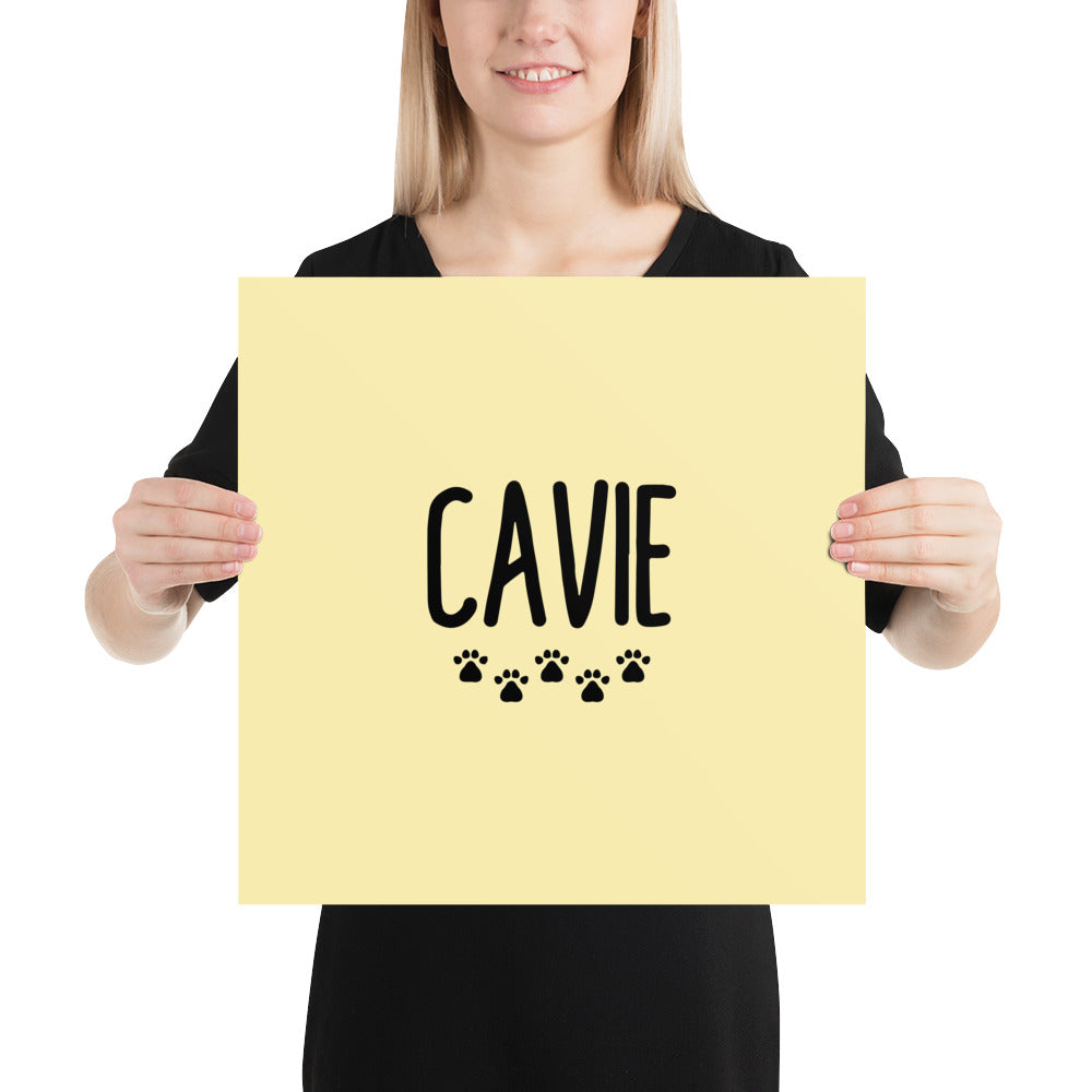 CAVIE - Poster