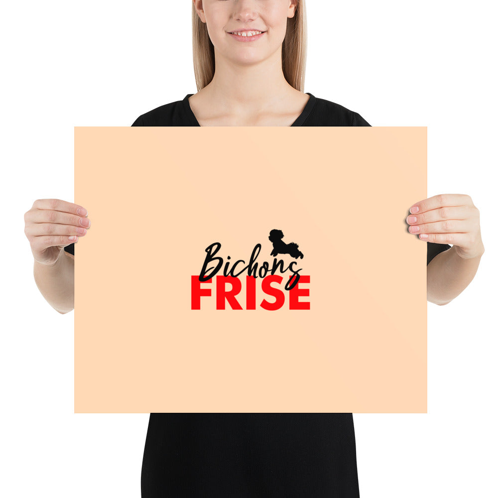 BICHONS FRISE - Poster