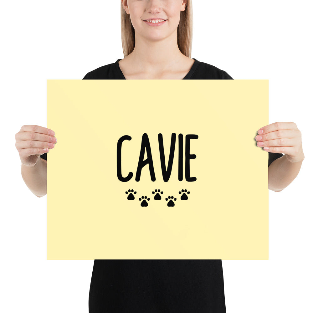 CAVIE - Poster