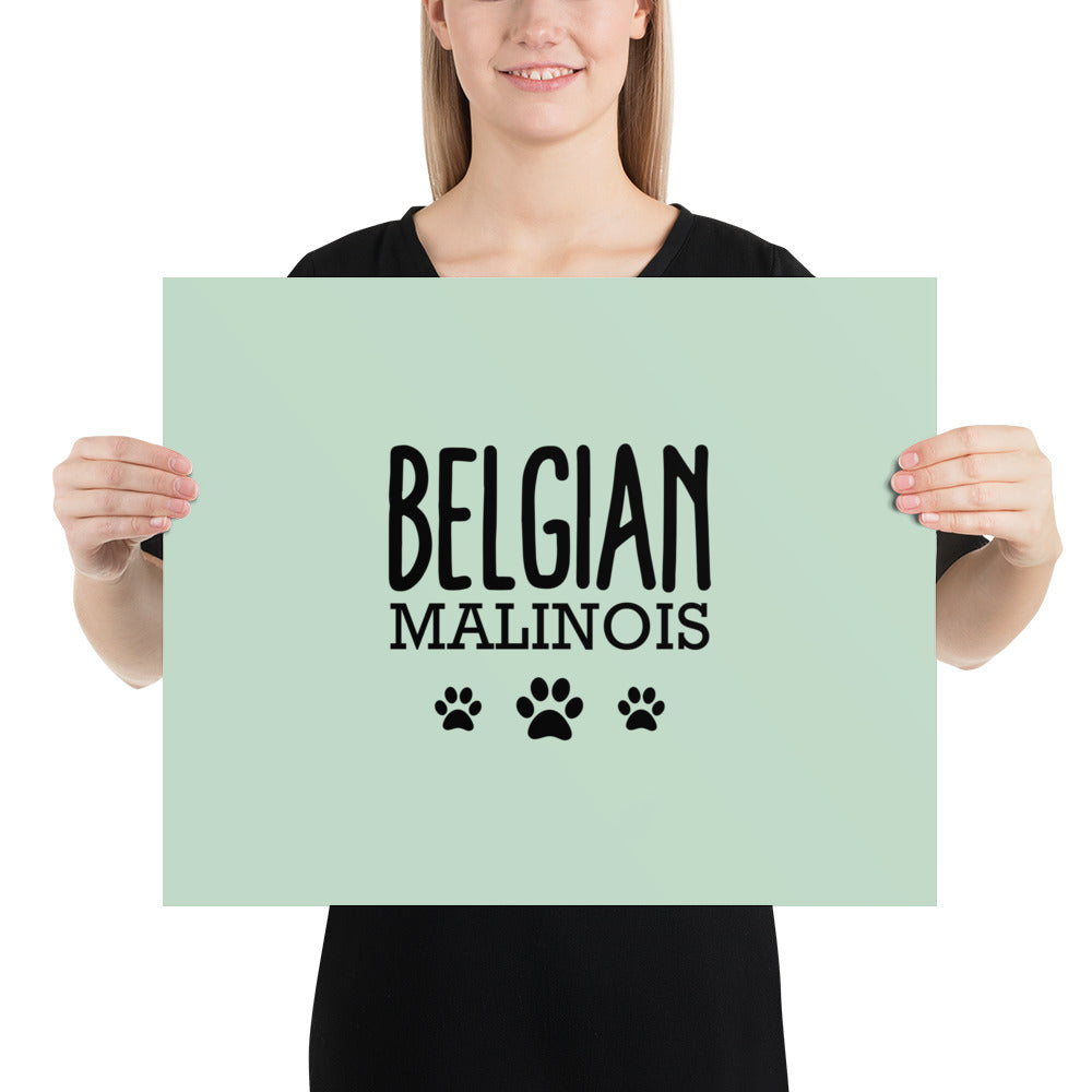 BELGIAN MALINOIS - Poster