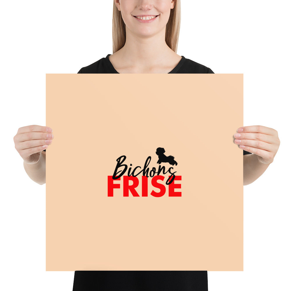 BICHONS FRISE - Poster