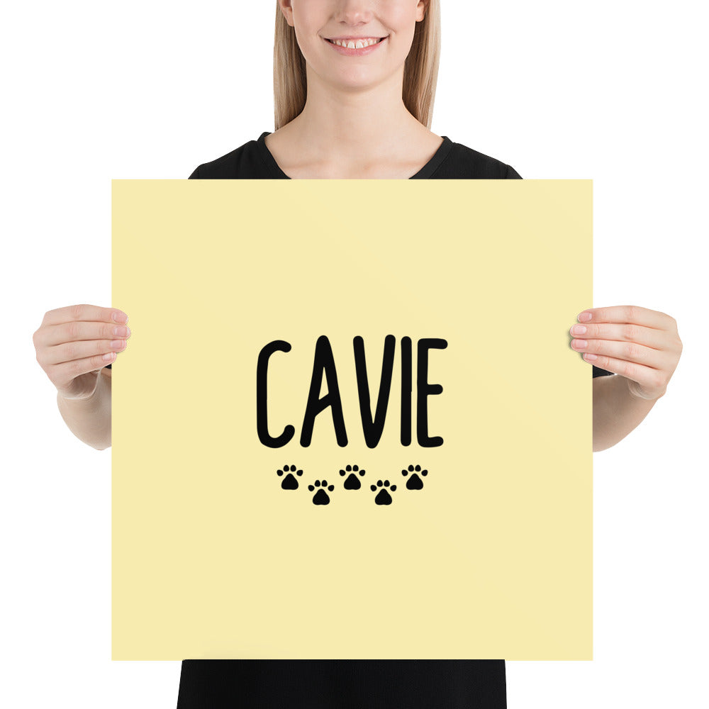 CAVIE - Poster