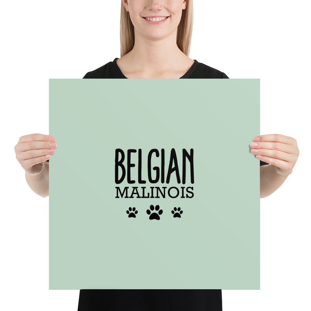 BELGIAN MALINOIS - Poster