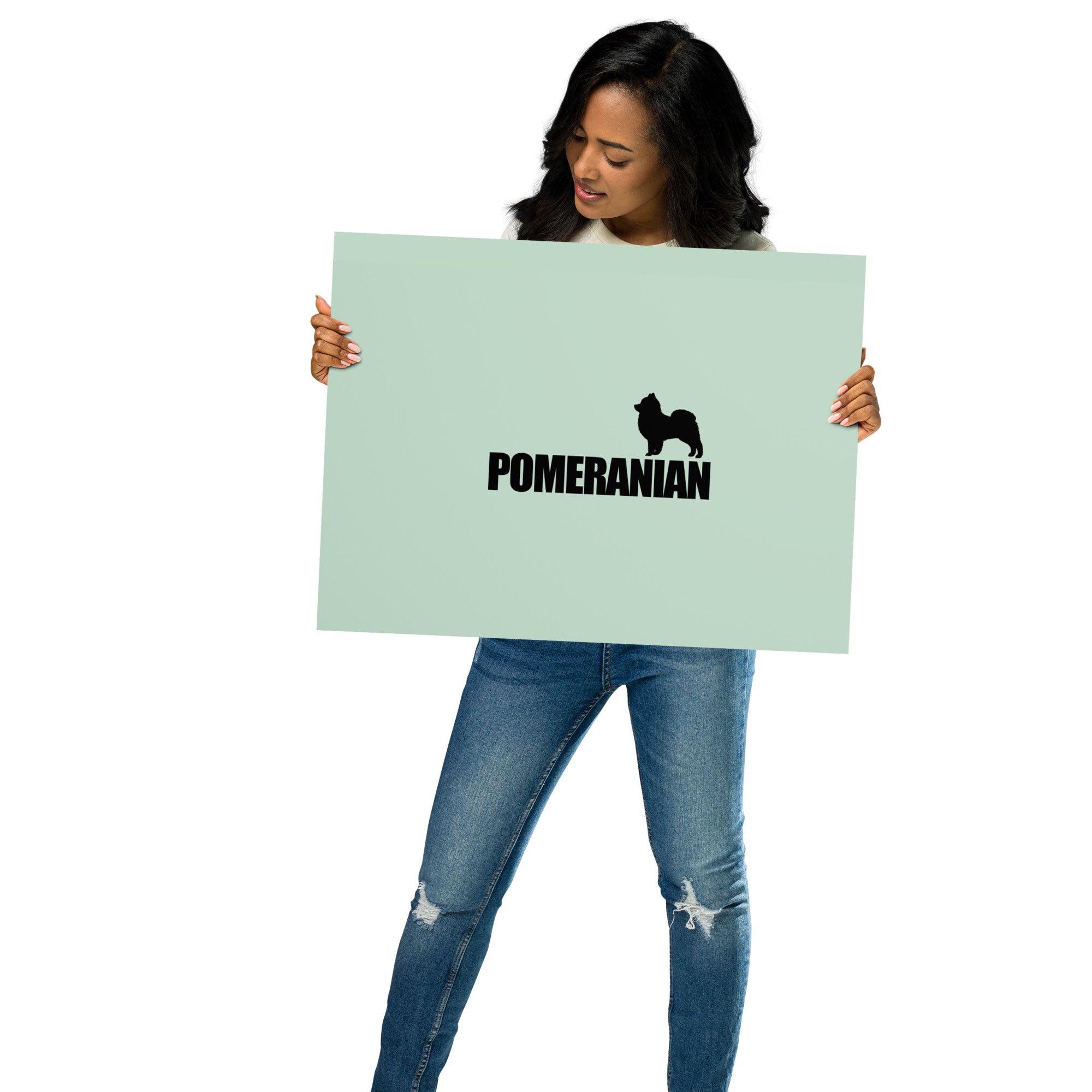 POMERANIAN - Poster