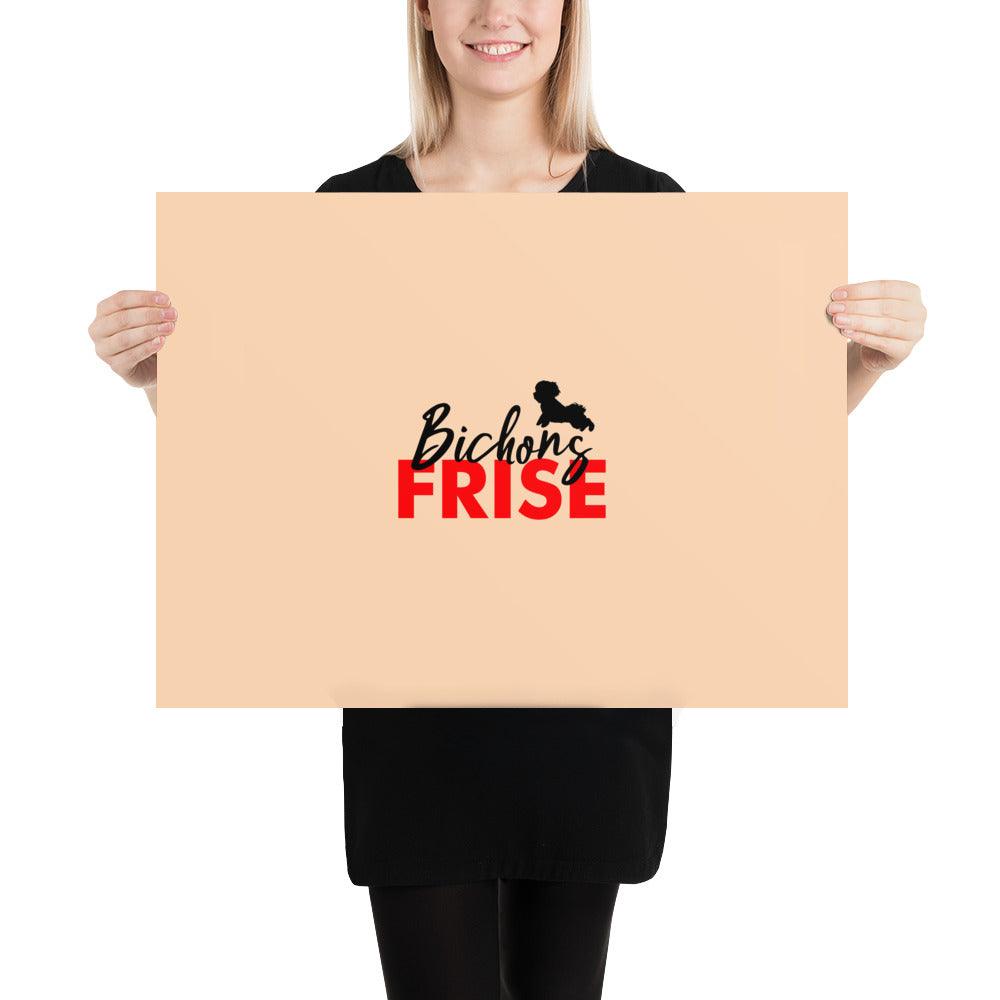 BICHONS FRISE - Poster