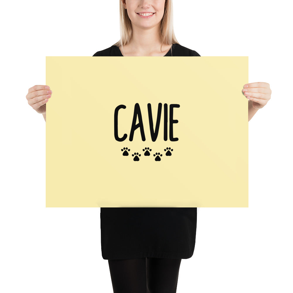 CAVIE - Poster