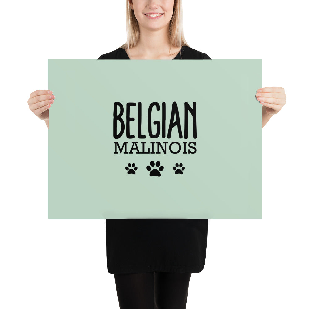 BELGIAN MALINOIS - Poster