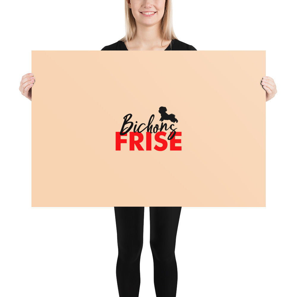 BICHONS FRISE - Poster