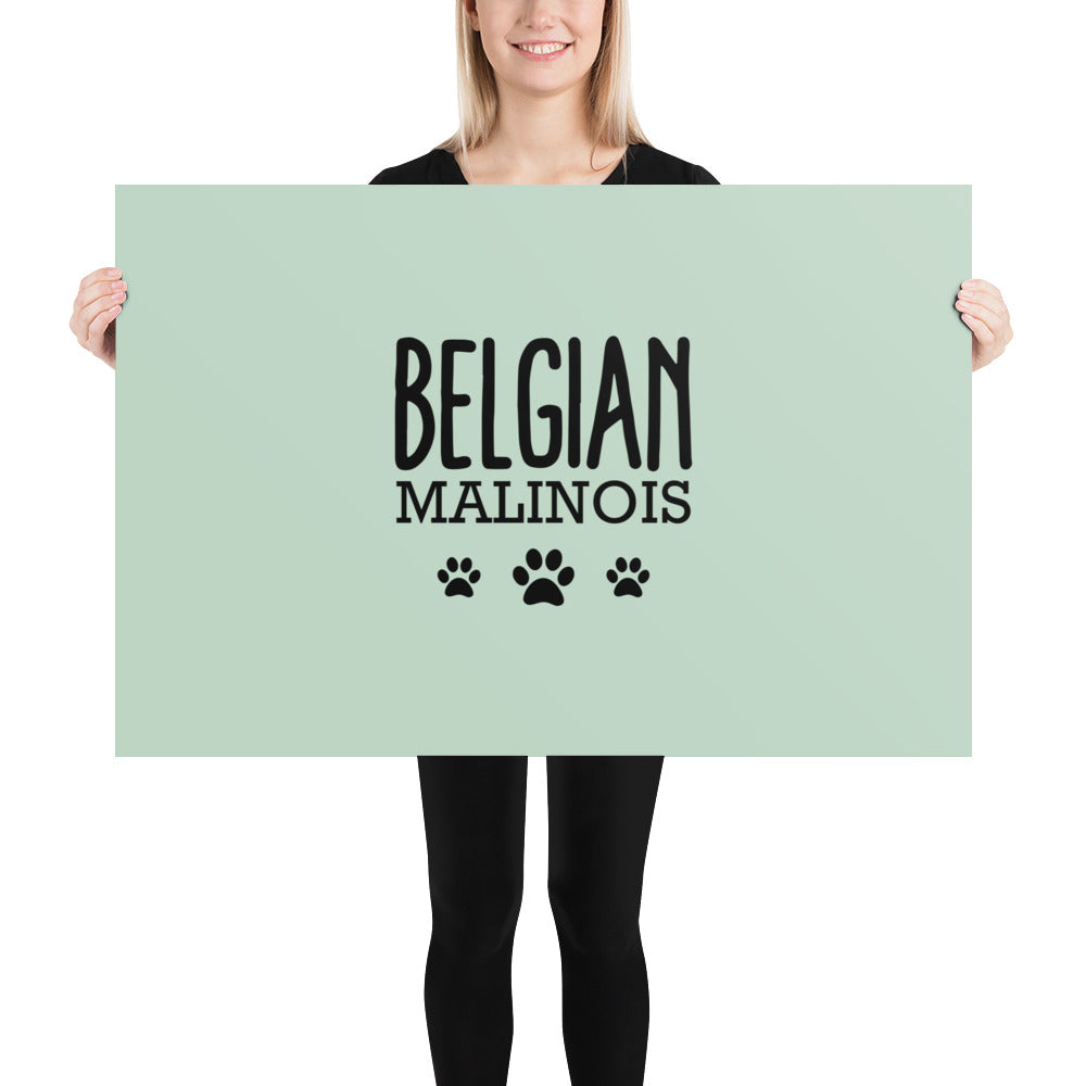 BELGIAN MALINOIS - Poster