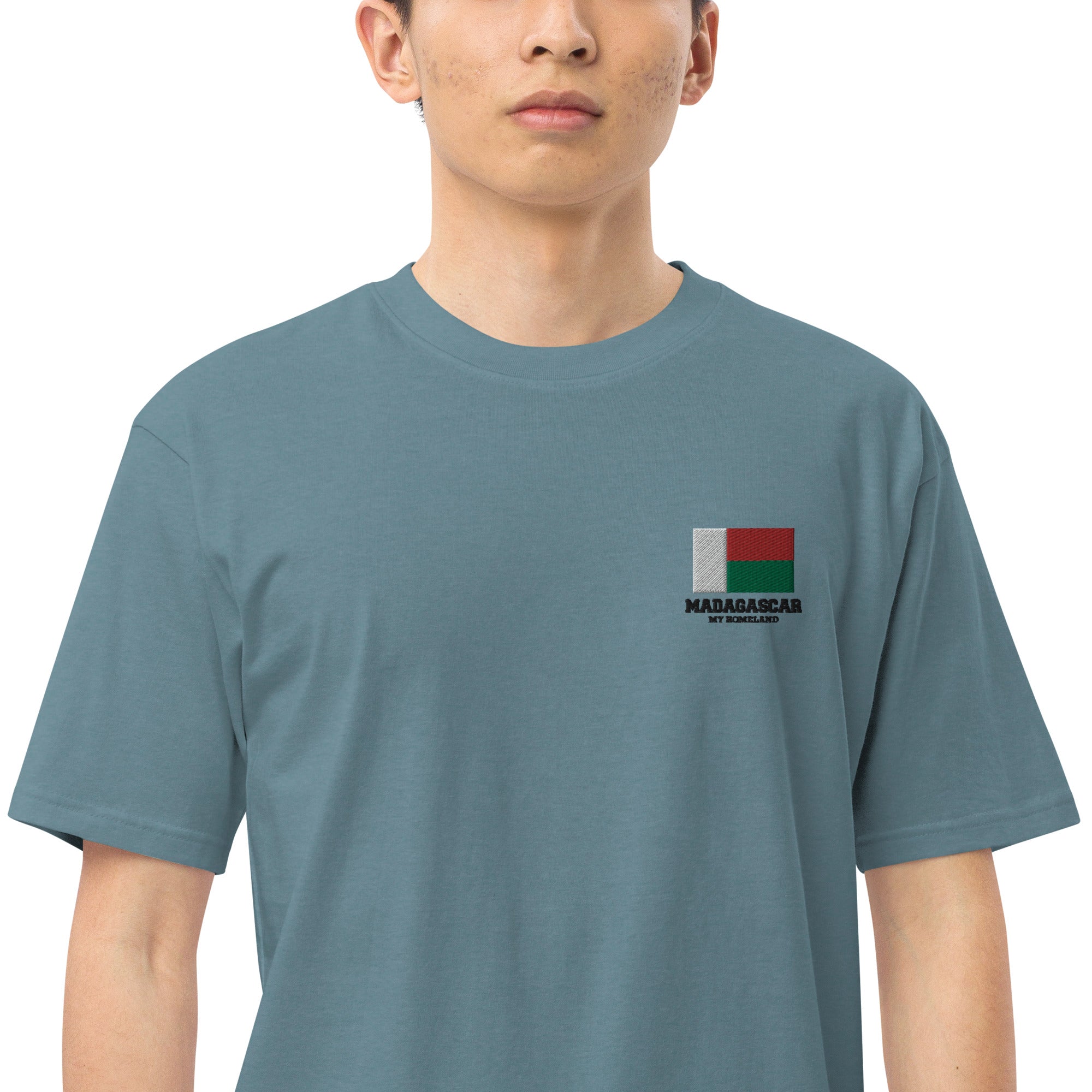 MADAGASCAR - Men’s premium heavyweight tee