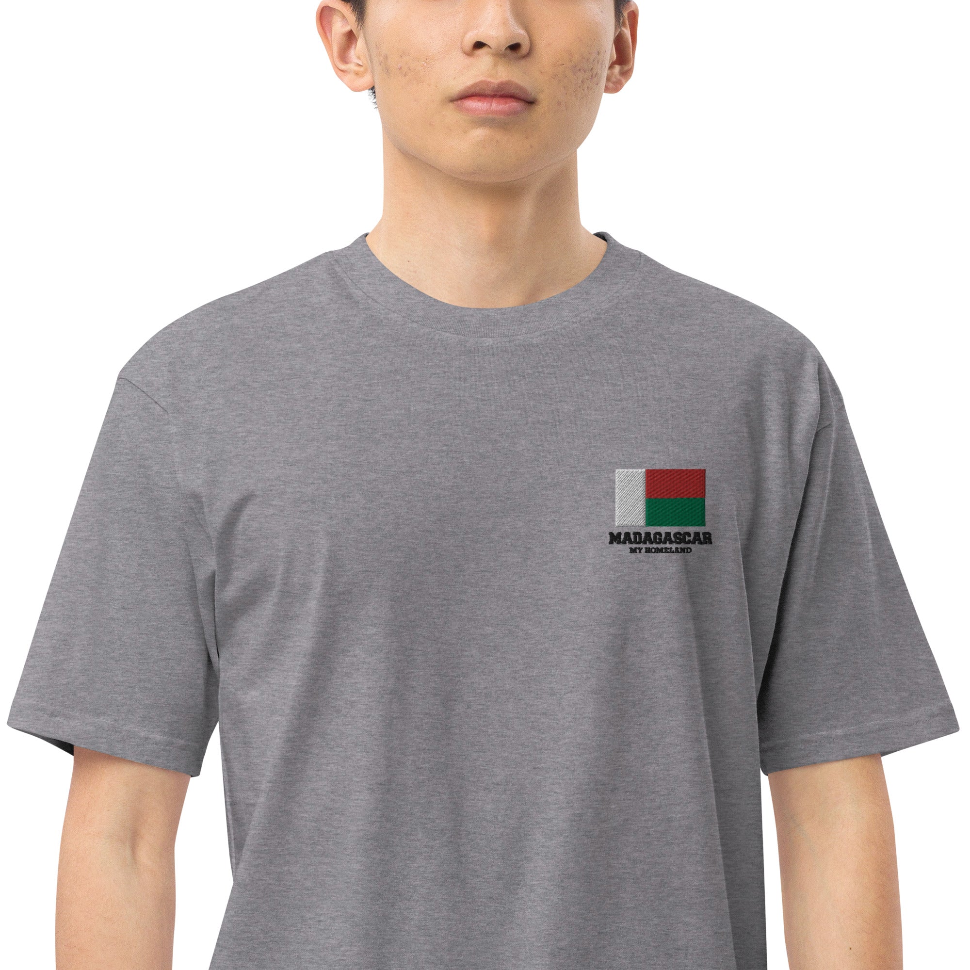 MADAGASCAR - Men’s premium heavyweight tee