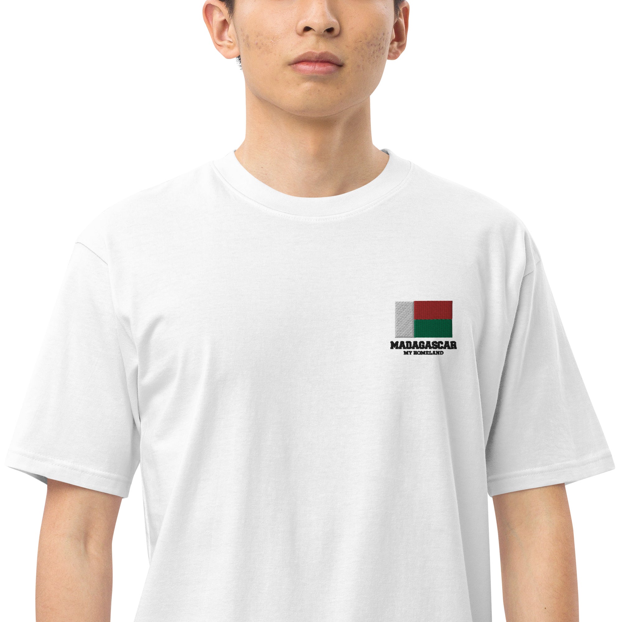 MADAGASCAR - Men’s premium heavyweight tee