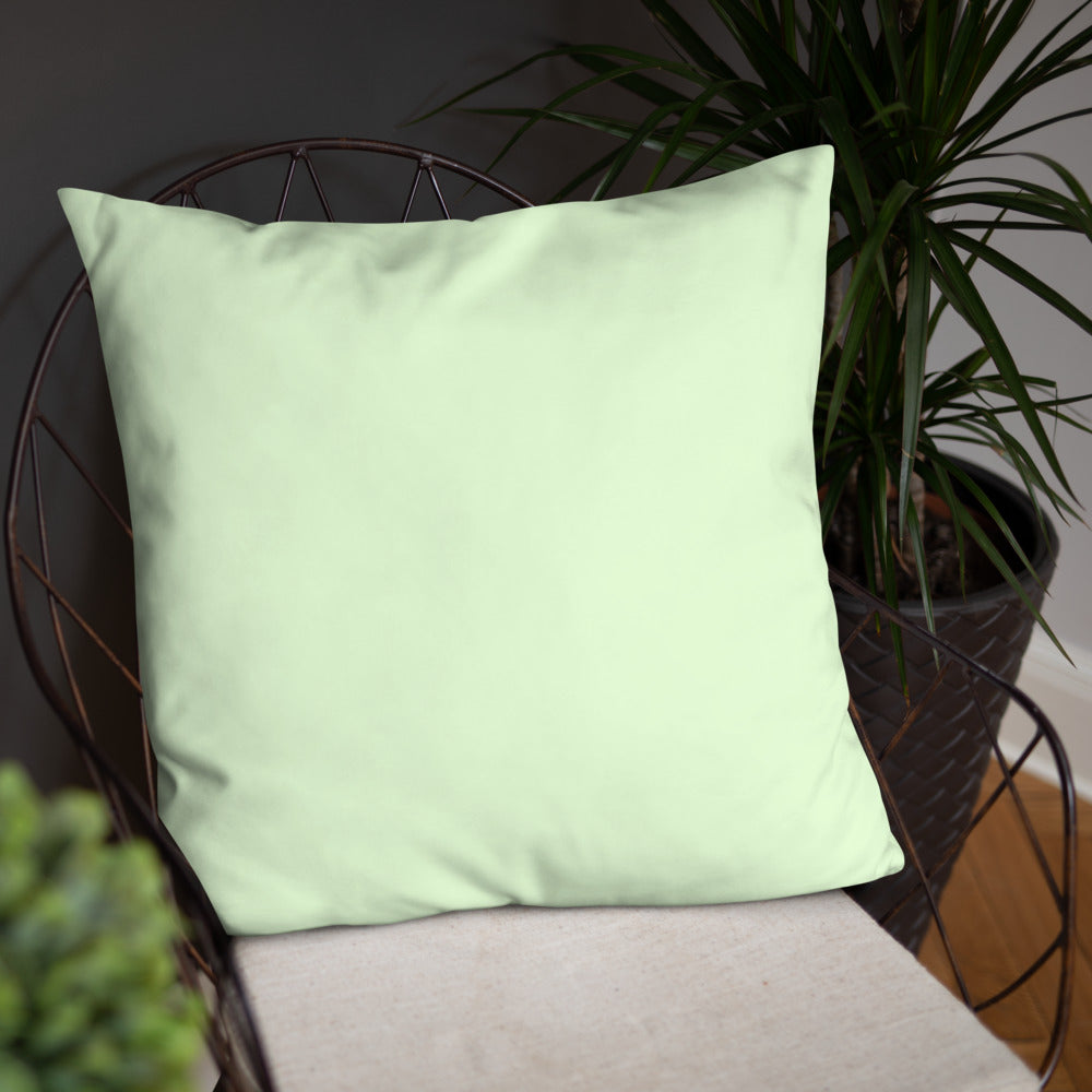 AAPNA PUNJAB - Basic Pillow