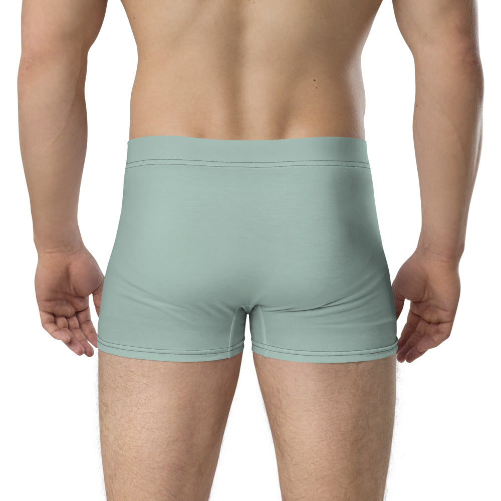 STARS OF THE RED CARPET - Boxer Briefs