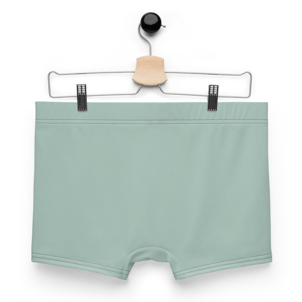 EARTH DAY - Boxer Briefs