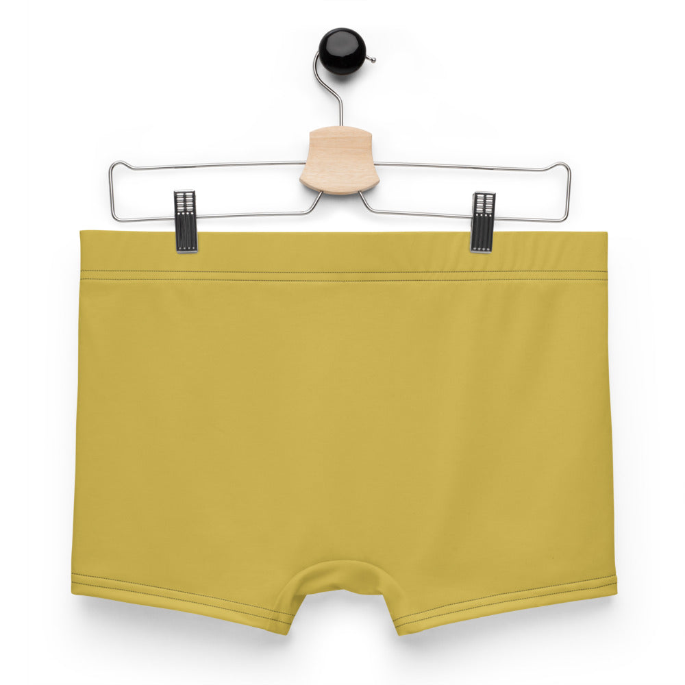 GEMINI - Boxer Briefs