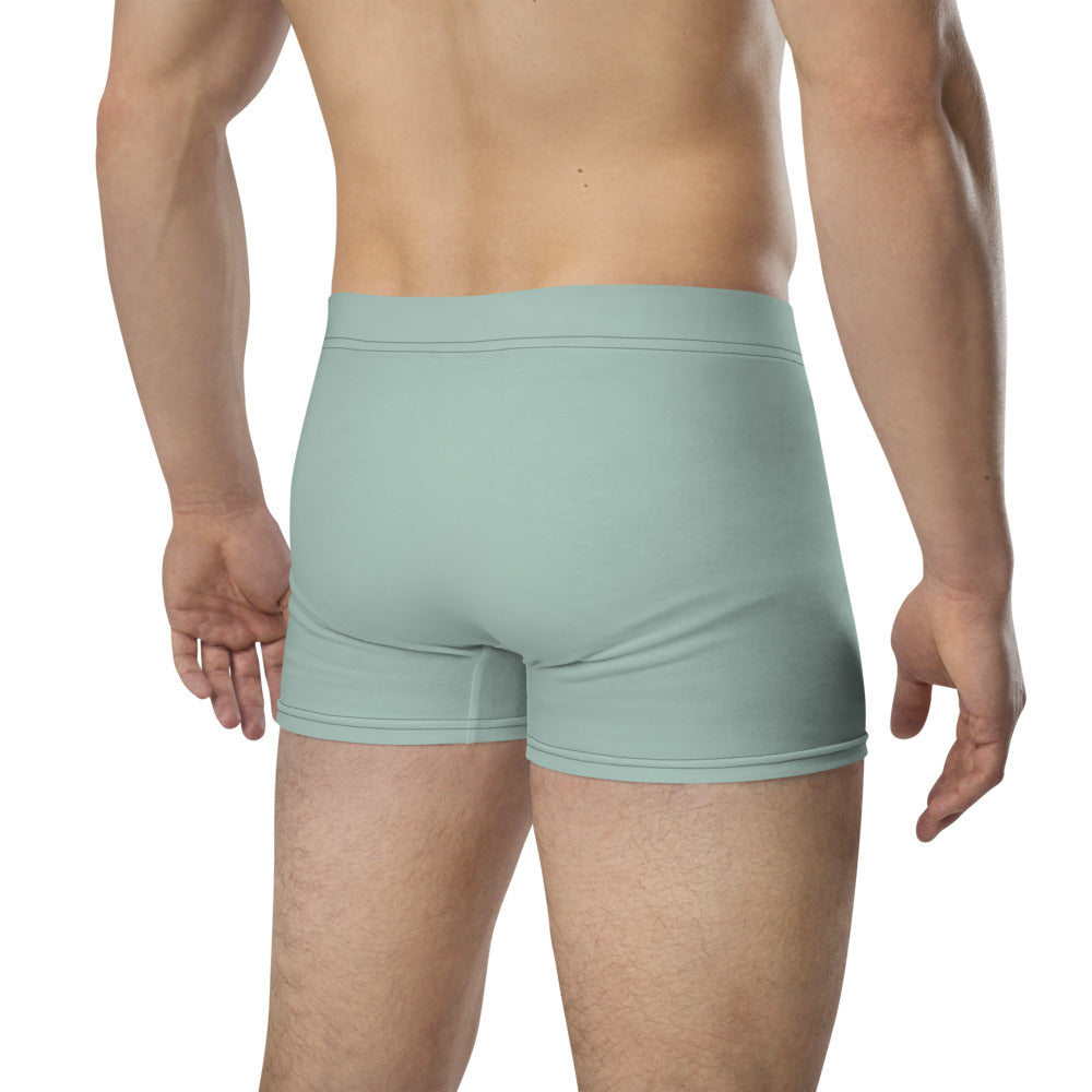 STARS OF THE RED CARPET - Boxer Briefs