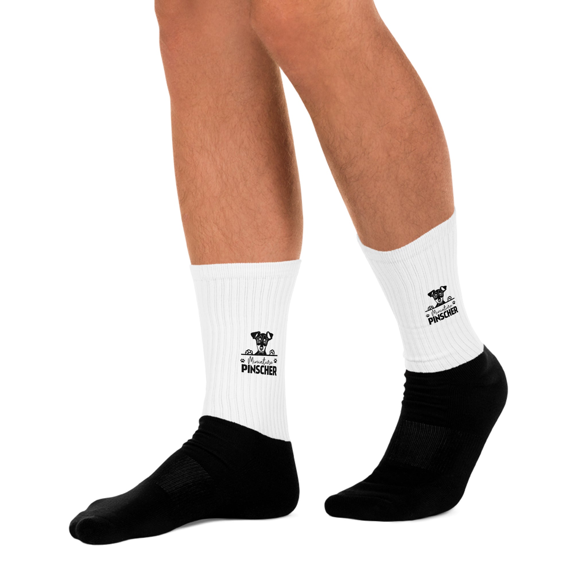 MINIATURE PINSCHER - Socks