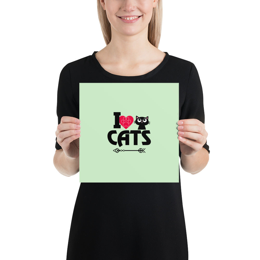 I LOVE CATS - Poster