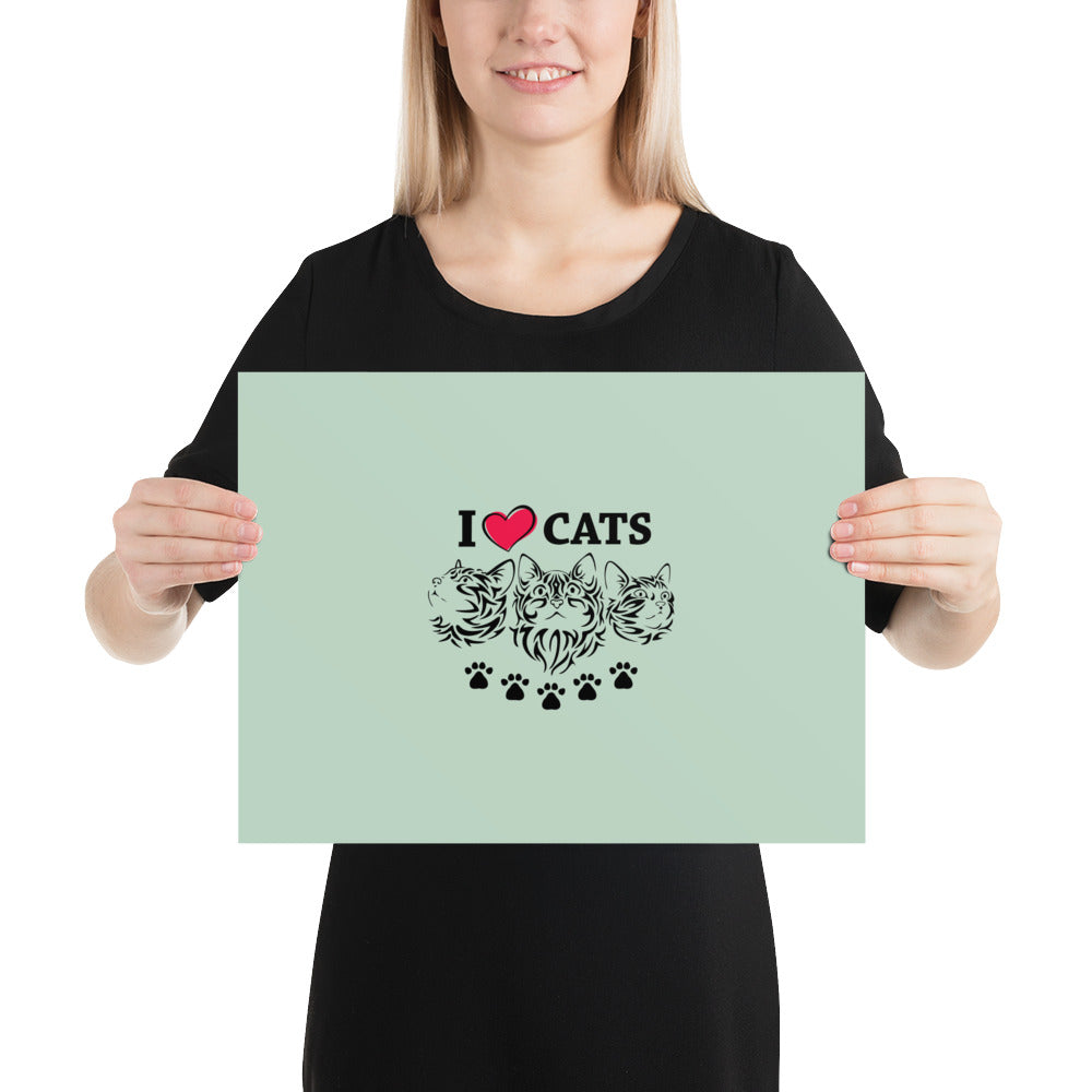 I LOVE CATS - Poster