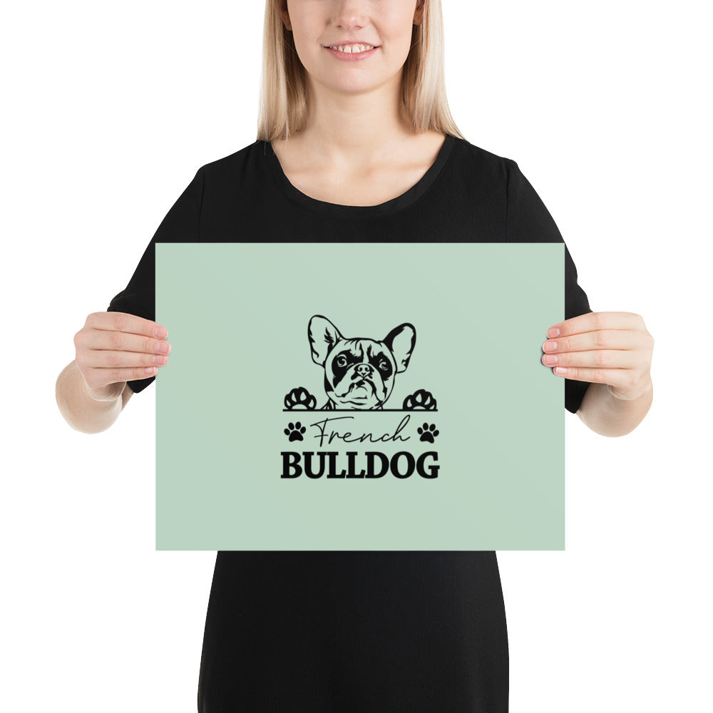 FRENCH BULLDOG - Poster