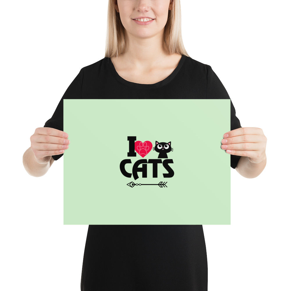 I LOVE CATS - Poster