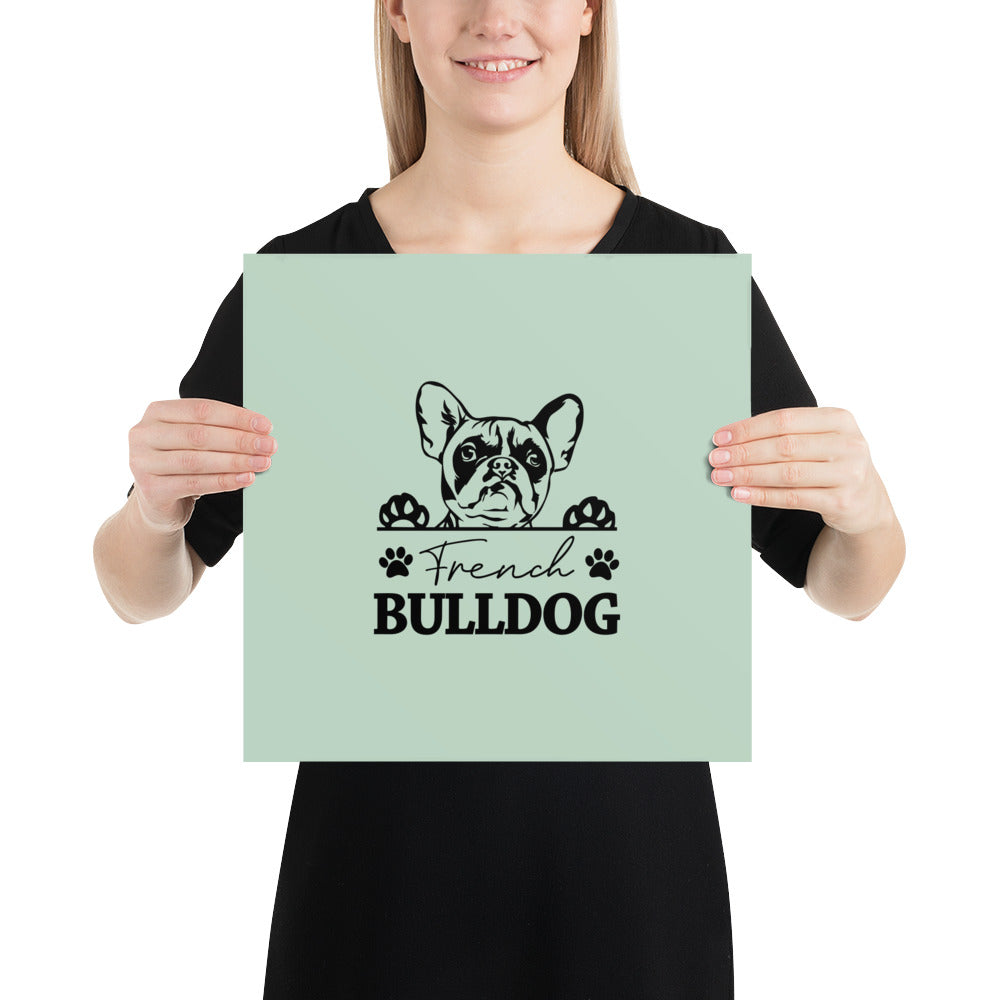 FRENCH BULLDOG - Poster