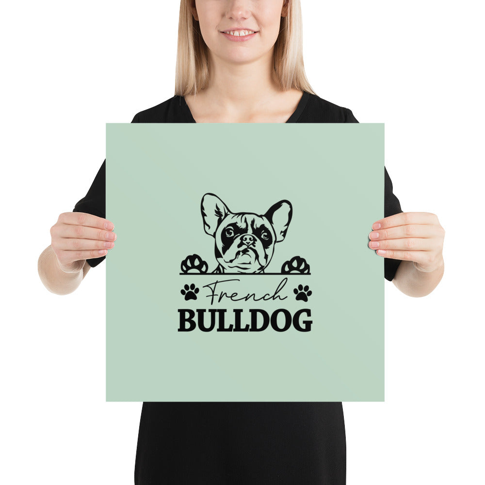 FRENCH BULLDOG - Poster