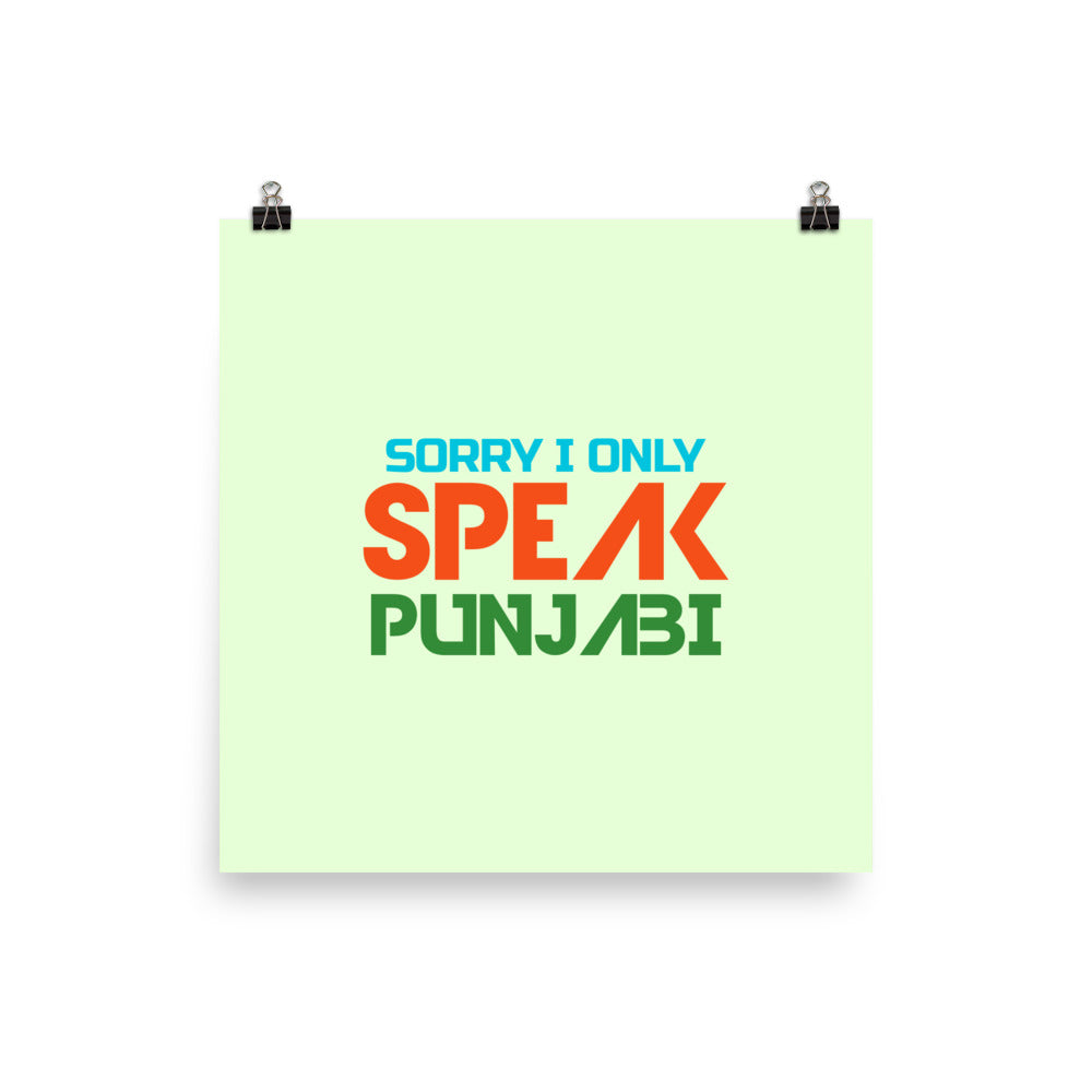 SORRY I ONLY SPEAK PUNJABI - Poster