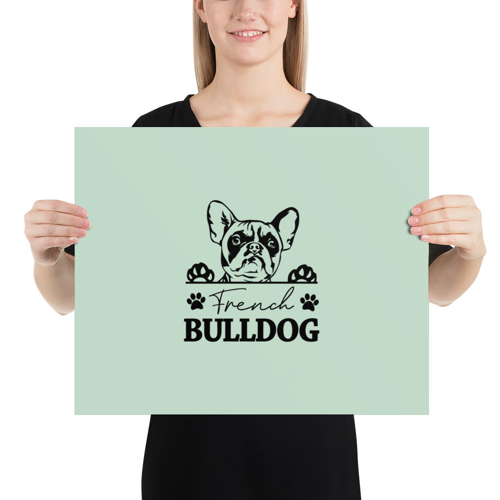 FRENCH BULLDOG - Poster