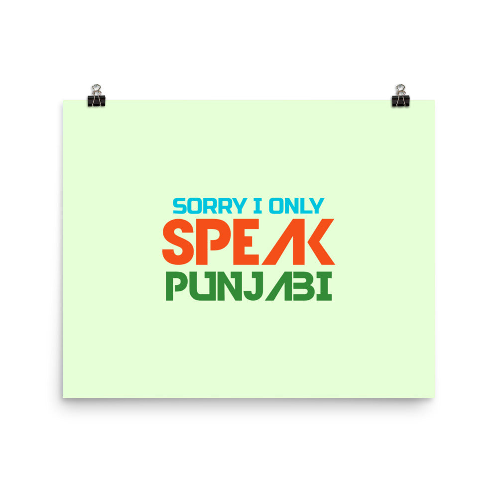 SORRY I ONLY SPEAK PUNJABI - Poster