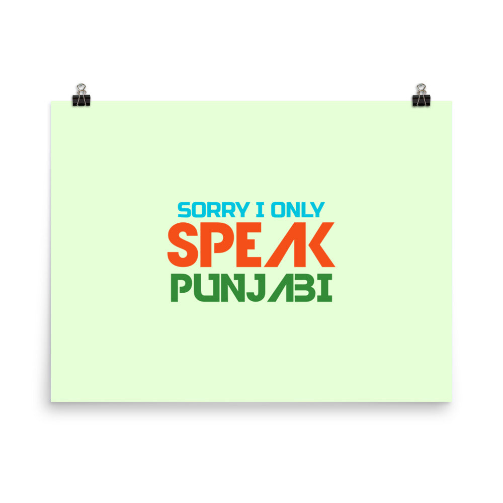 SORRY I ONLY SPEAK PUNJABI - Poster