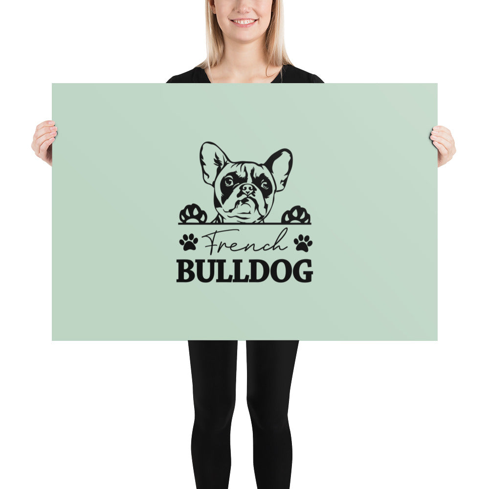 FRENCH BULLDOG - Poster