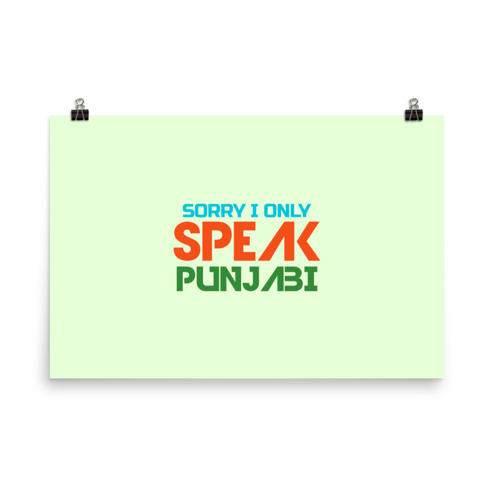 SORRY I ONLY SPEAK PUNJABI - Poster