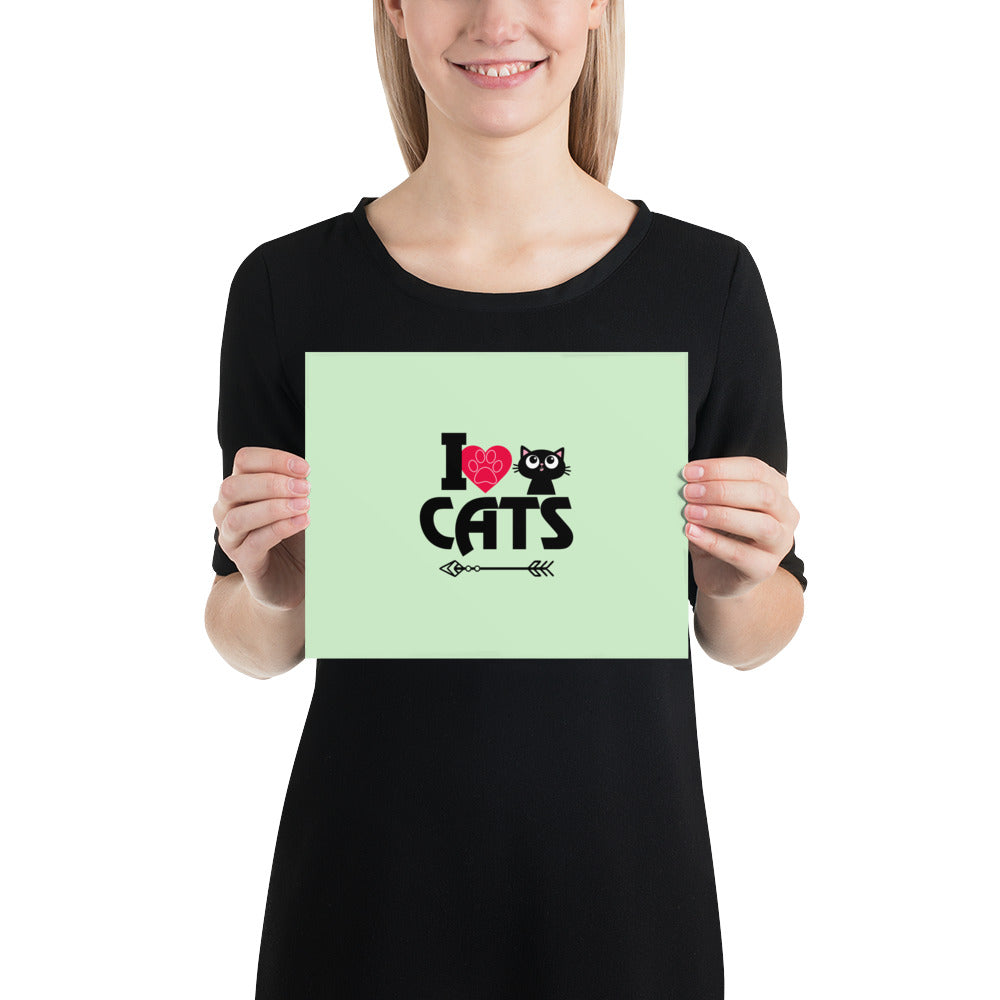 I LOVE CATS - Poster