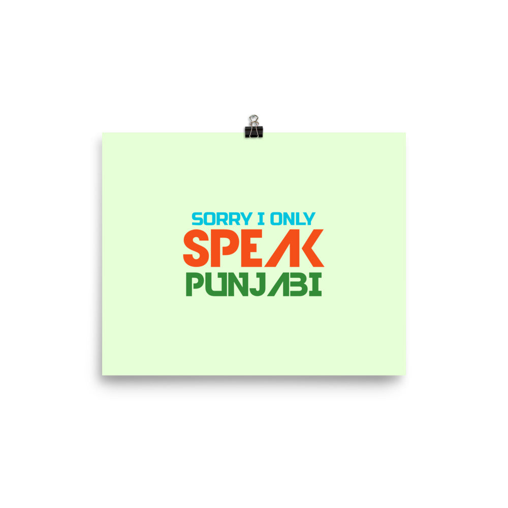 SORRY I ONLY SPEAK PUNJABI - Poster