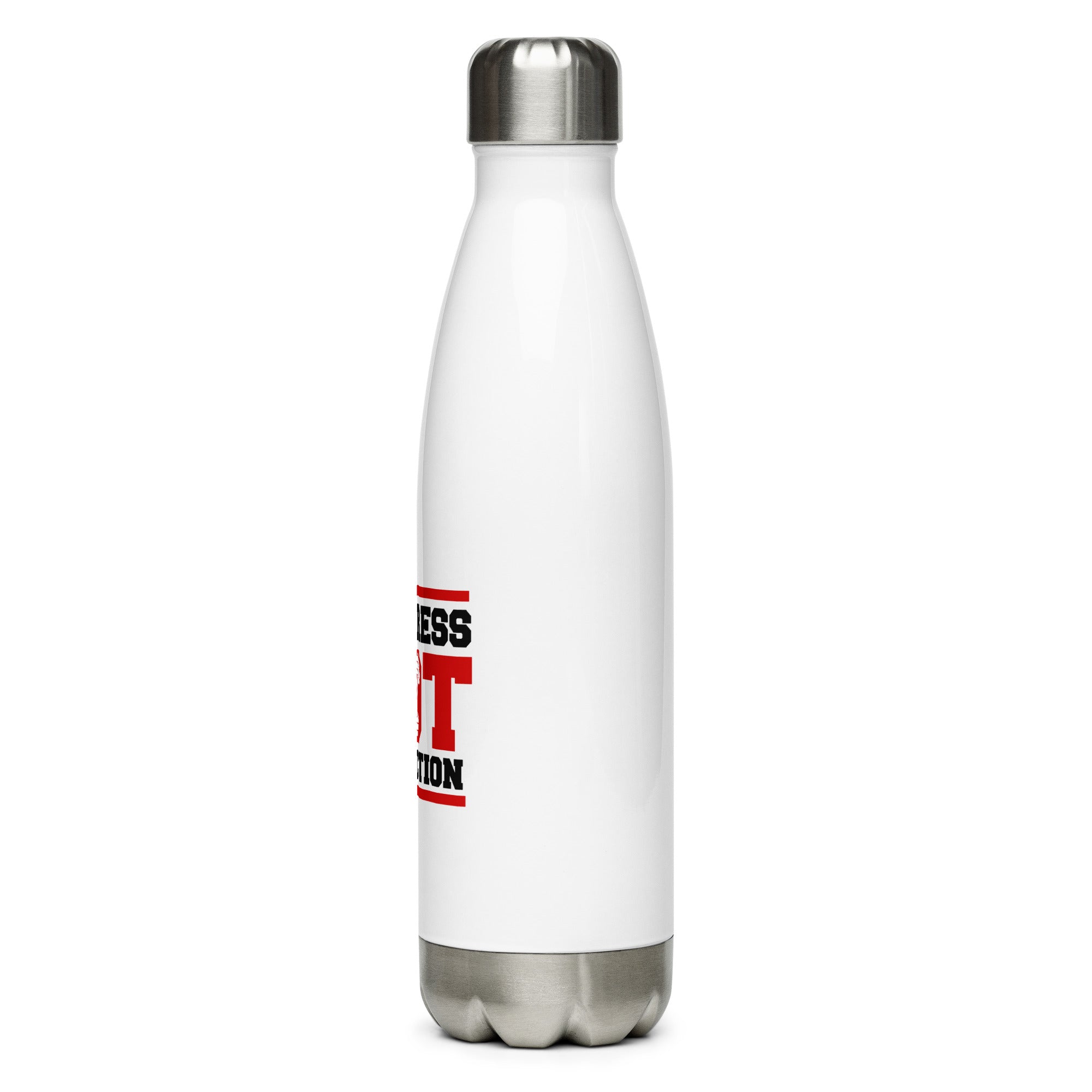 PROGRESS NOT PERFECTION - Stainless Steel Water Bottle