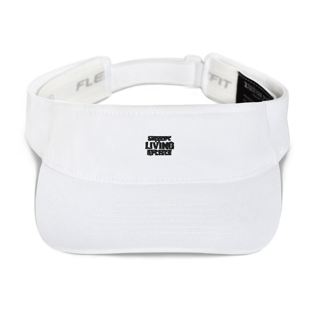 Support living artists- Visor